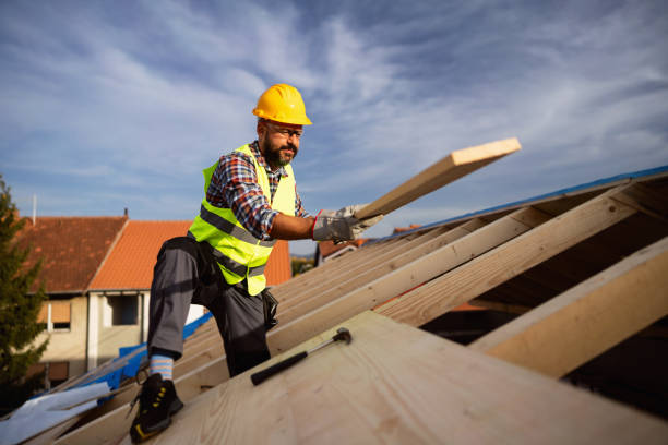 Best Roof Moss and Algae Removal  in Holt, AL